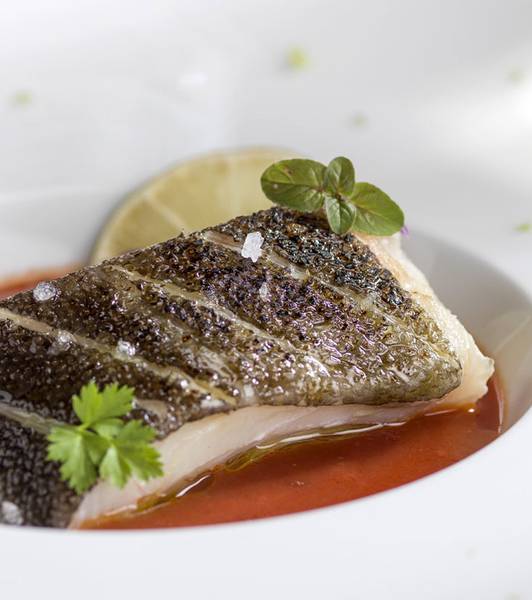 STOCKFISCH MIT KNUSPRIGER HAUT AUF EINEM TOMATENSAUCENSPIEGEL