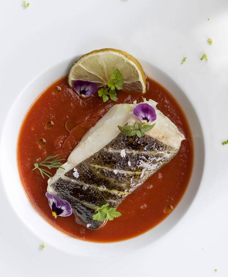 STOCKFISCH MIT KNUSPRIGER HAUT AUF EINEM TOMATENSAUCENSPIEGEL